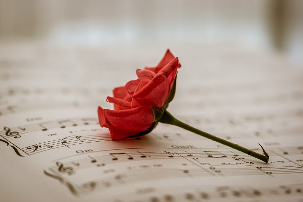 乐谱上的红玫瑰，表达情感与音调音符旋律-微看VCAN