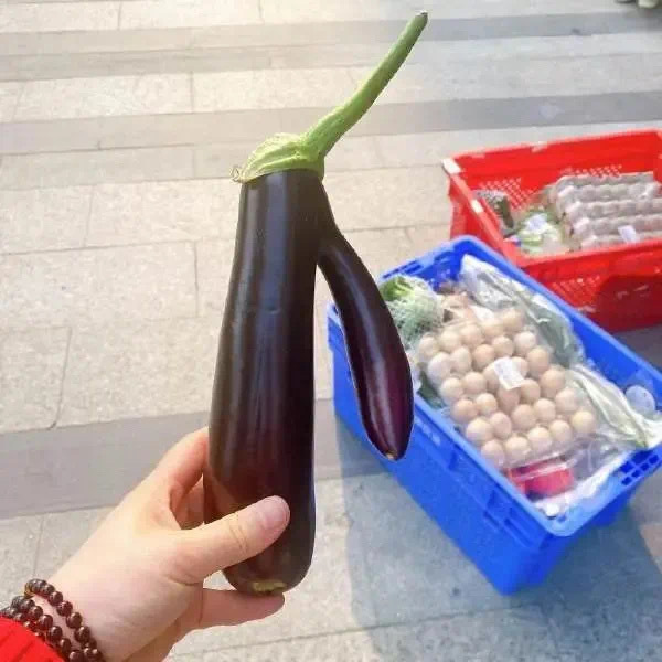 🍆-无聊图社区-休闲娱乐-微看VCAN