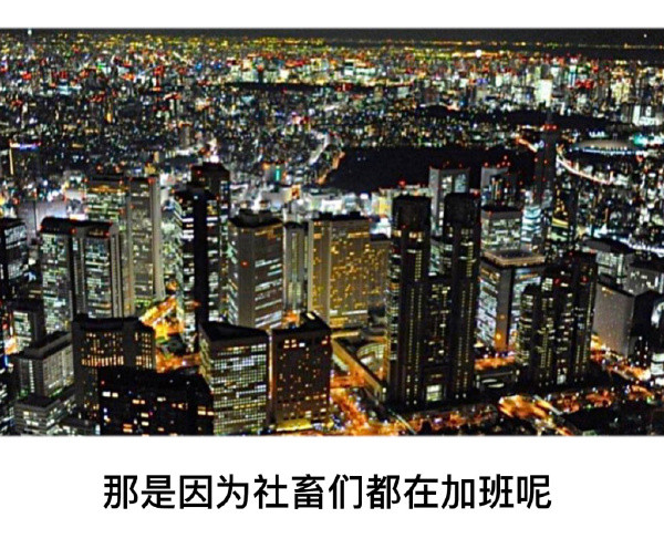 夜景很美吧！？-无聊图社区-休闲娱乐-微看VCAN