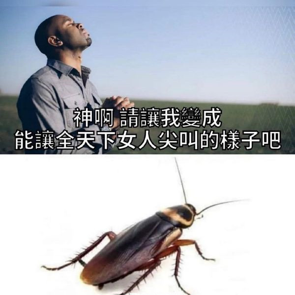神啊，请让我变成能让全天下女人尖叫的样子-无聊图社区-休闲娱乐-微看VCAN