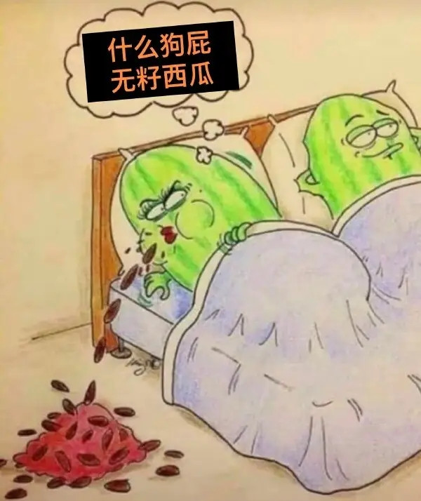 无籽西瓜-无聊图社区-休闲娱乐-微看VCAN