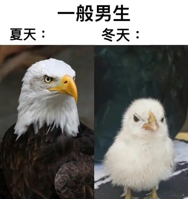 男生-无聊图社区-休闲娱乐-微看VCAN