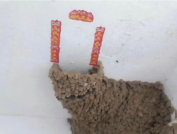 春联-无聊图社区-休闲娱乐-微看VCAN