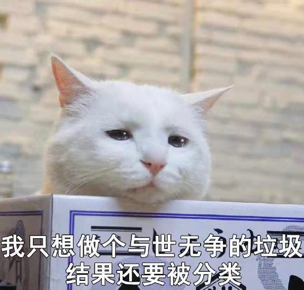 我-无聊图社区-休闲娱乐-微看VCAN