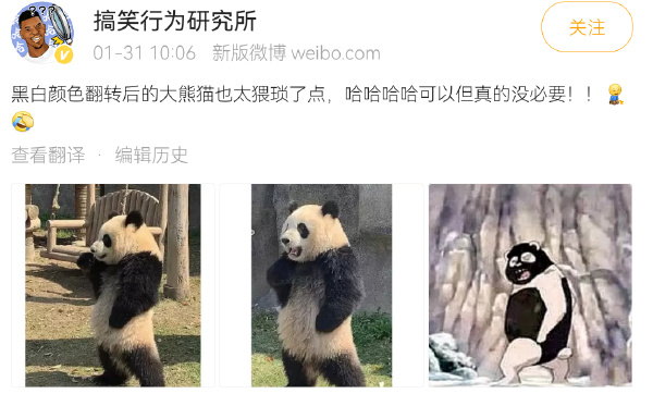 黑白颜色翻转的大熊猫，太猥琐了。-无聊图社区-休闲娱乐-微看VCAN