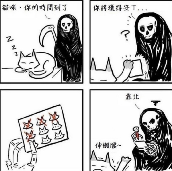 猫有几条命？-无聊图社区-休闲娱乐-微看VCAN