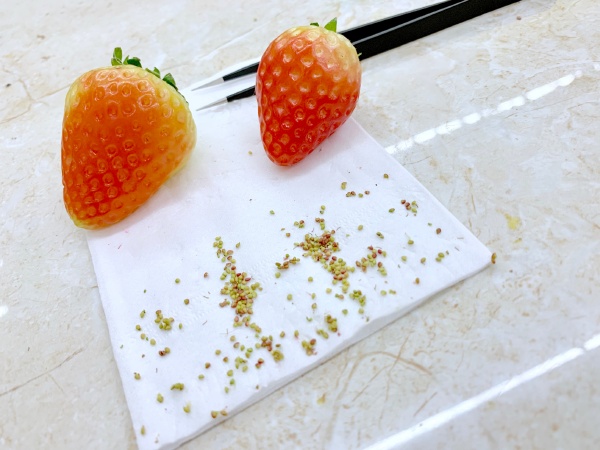 草莓-无聊图社区-休闲娱乐-微看VCAN