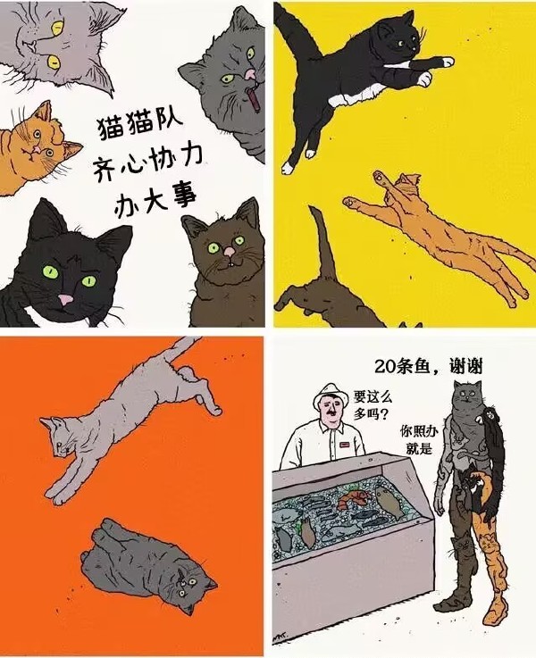 猫猫队齐心协力办大事！-无聊图社区-休闲娱乐-微看VCAN