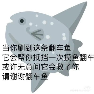 Buff：翻车鱼-微看VCAN