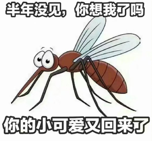 夏天-无聊图社区-休闲娱乐-微看VCAN