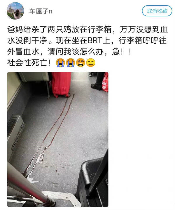 社死现场-无聊图社区-休闲娱乐-微看VCAN