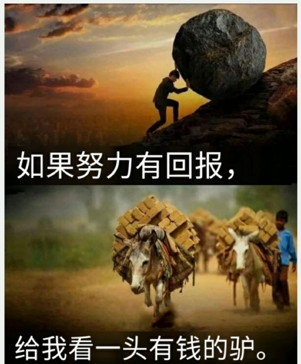 努力的回报-无聊图社区-休闲娱乐-微看VCAN