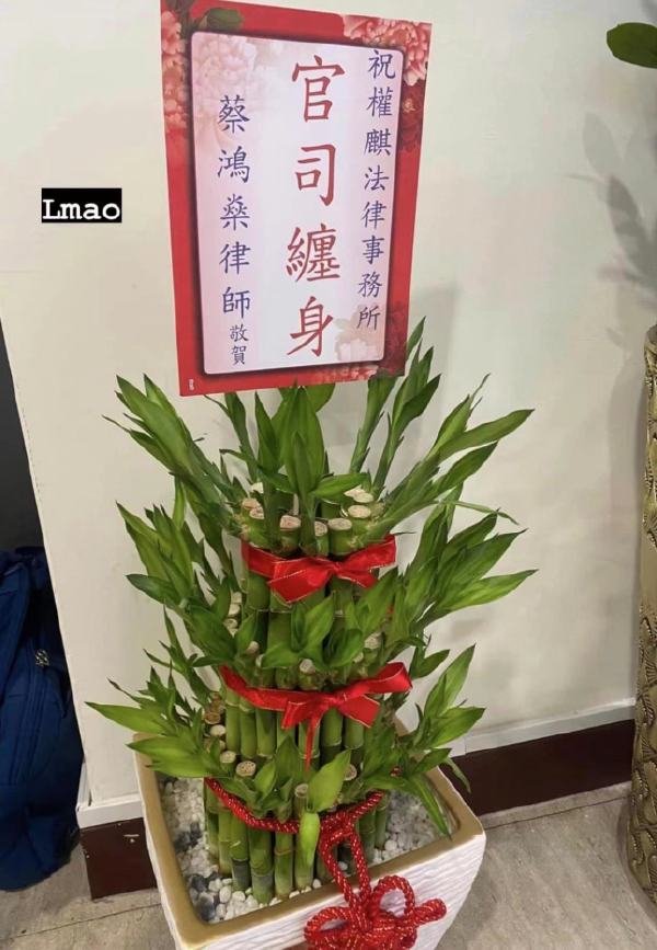 现状-无聊图社区-休闲娱乐-微看VCAN