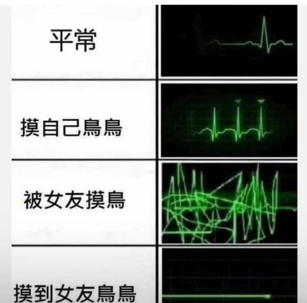 摸鸟-无聊图社区-休闲娱乐-微看VCAN