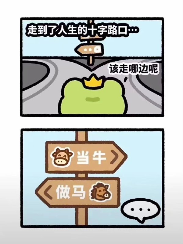 人生的分岔路口-无聊图社区-休闲娱乐-微看VCAN