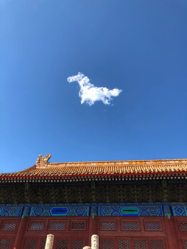神马浮云-无聊图社区-休闲娱乐-微看VCAN