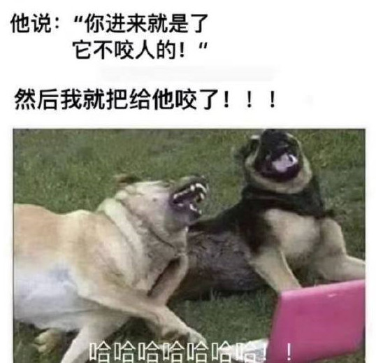 不给面子-无聊图社区-休闲娱乐-微看VCAN