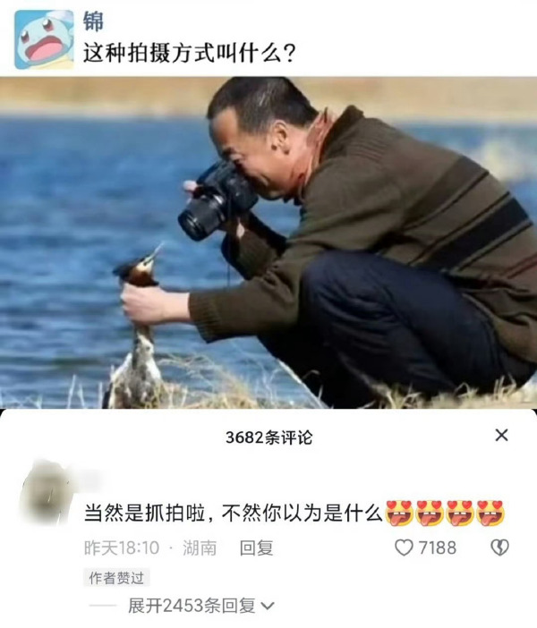 抓拍-无聊图社区-休闲娱乐-微看VCAN