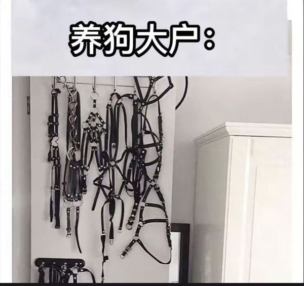 XP-无聊图社区-休闲娱乐-微看VCAN