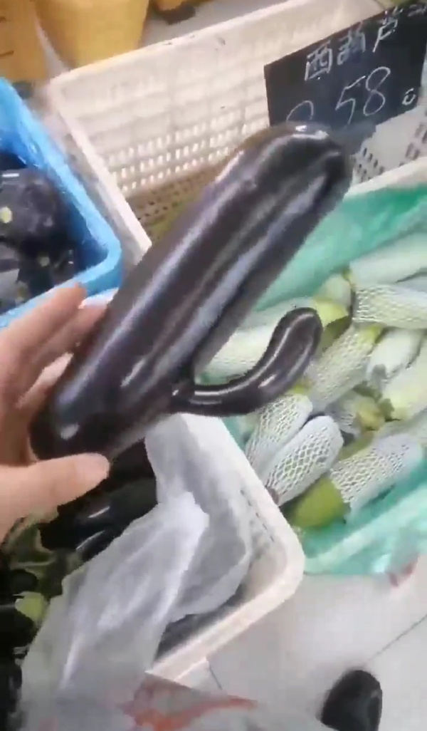 天选の茄-无聊图社区-休闲娱乐-微看VCAN