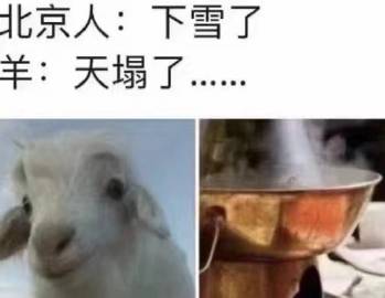 北方的雪-无聊图社区-休闲娱乐-微看VCAN