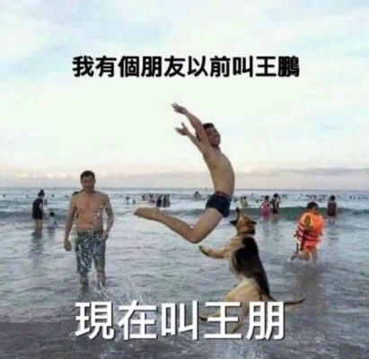 王鹏同学-微看VCAN