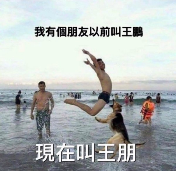 王鹏同学-无聊图社区-休闲娱乐-微看VCAN