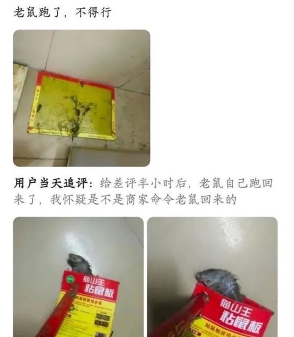 差评-无聊图社区-休闲娱乐-微看VCAN