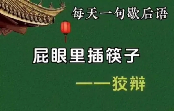 歇-微看VCAN